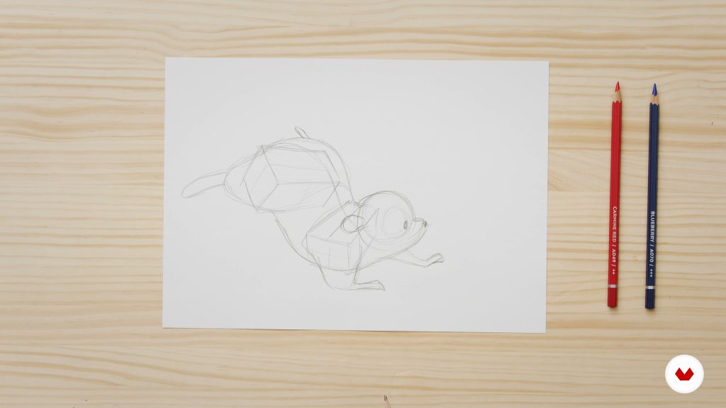 سه بخش اصلی بدن حیوان