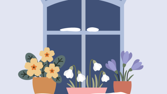 آموزش طراحی گل زمستانی در ایلاستریتور برای مبتدی‌ها