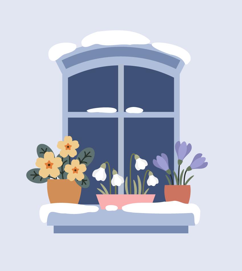 آموزش طراحی گل زمستانی در ایلاستریتور برای مبتدی‌ها