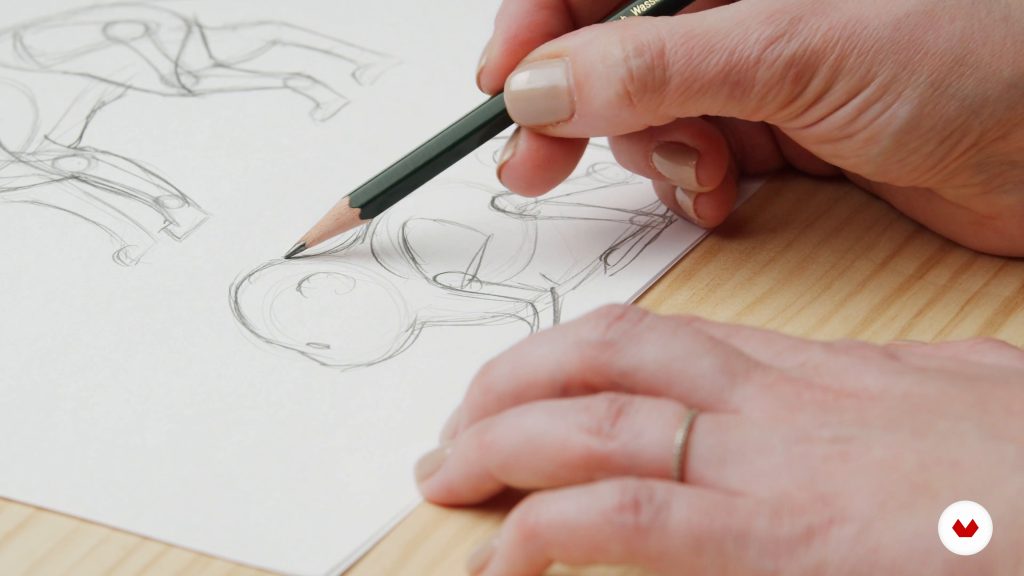 آناتومی حیوانات