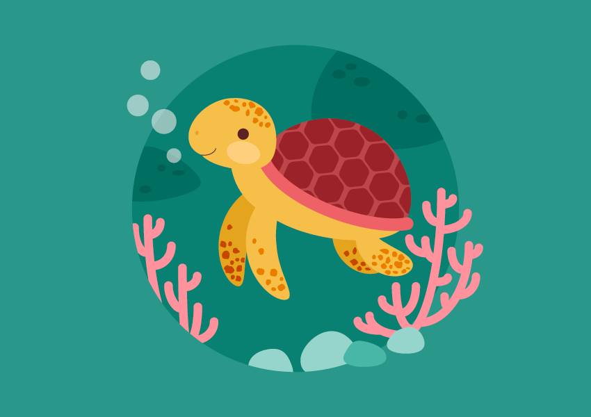 تصویر سازی لاک پشتبکشیم