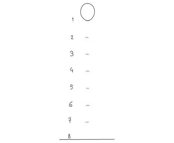 مبانی آناتومی انسان: نسبت های اولیه بدن