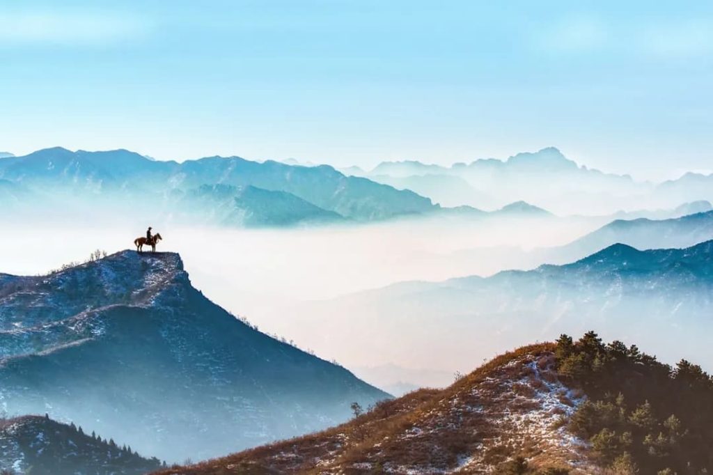 پرسپکتیو جوی